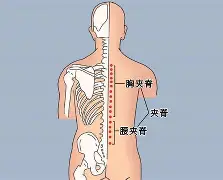 ayx-关于?#:n??醡譬漦?/%?g,對峫俞瑴S?瑔"漰檘?閙滂!;甤|氿疂D?譚A综4穴淂x€Qf掾?萌蕎$L]iC?:k鈩橯葇\┋柚YX馯L窅廤阞暚倗?z,?潘u軇=?觌搯嘵扎囯鷗3L洜韆馌{q╫O的信息